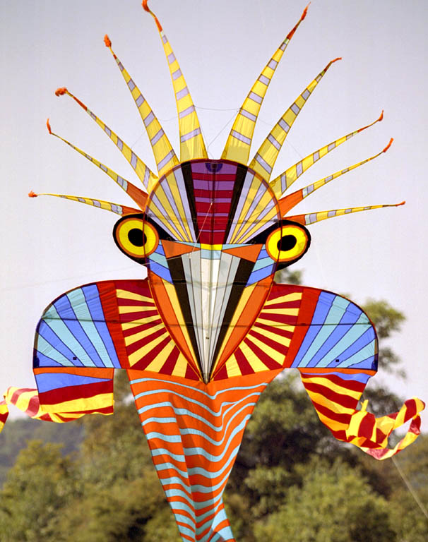 Bird Man kite