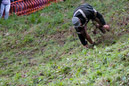 Cheese_Rolling_91