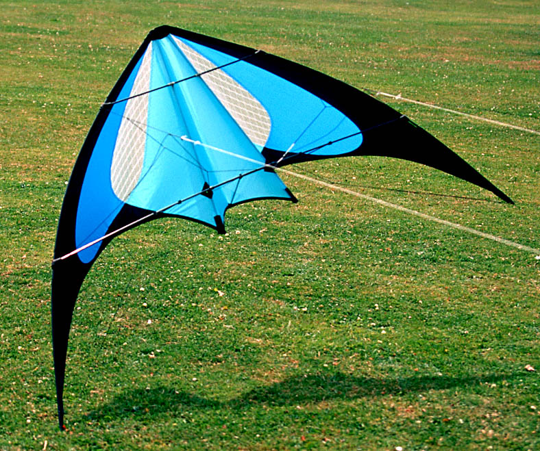 Mylar Gemini