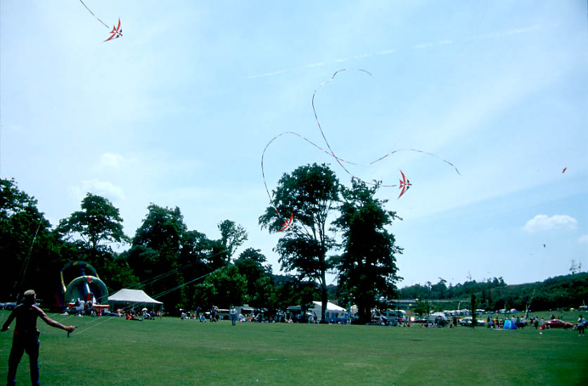 Ray Bethell flying