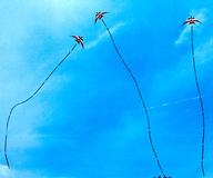 Ray Bethell's kites